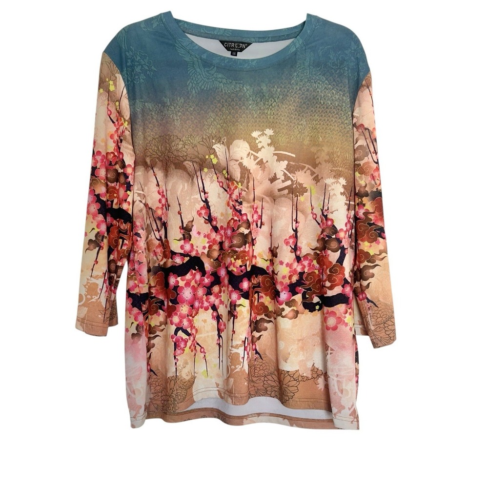 Citron Santa Monica Ombre Ocean Cherry Blossom Women's 0X Tunic Top Artsy Asian